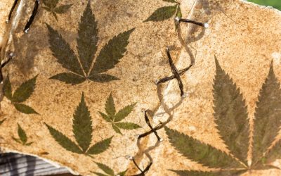 Everything You Need To Know About Medical Marijuana And The Dispensaries That Sell It