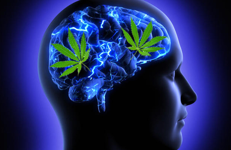 How Cannabis Can Help You with Your Mental Health