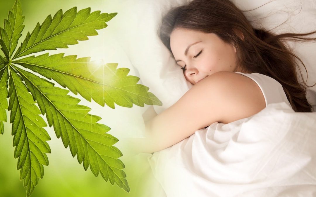 Top 9 Cannabis Strains to Help You Sleep Better