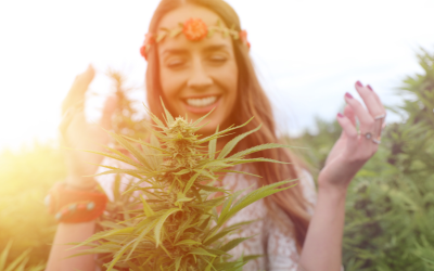 From Counterculture to Mainstream: The Evolution of Cannabis Culture